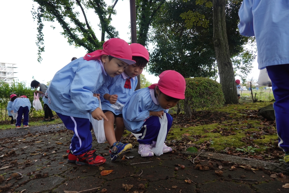 サムタイムズブログ(どんぐり拾い)