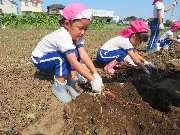 サムタイムズブログ